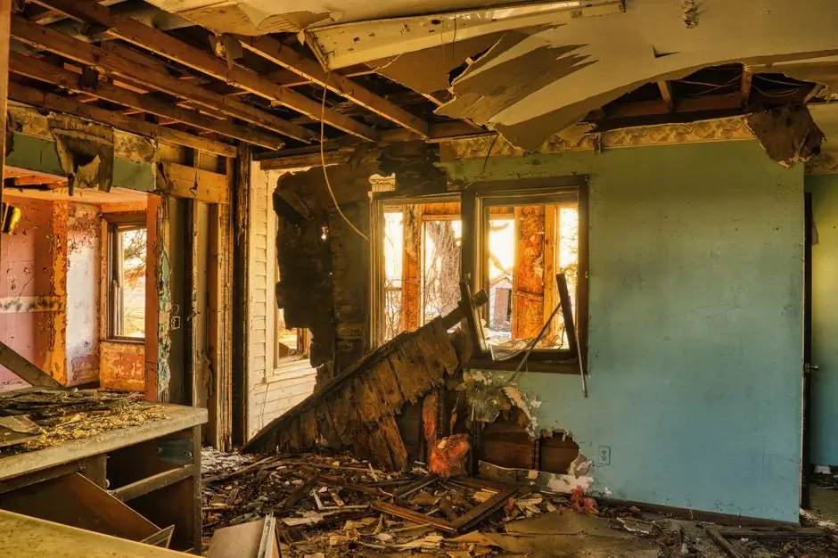 Mold Remediation