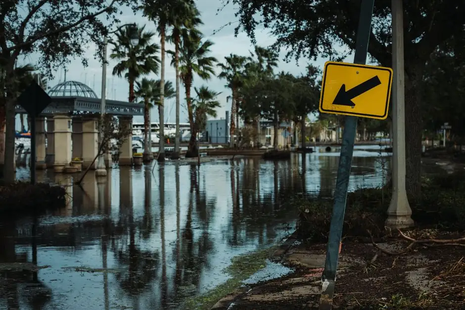 Flood Damage Restoration